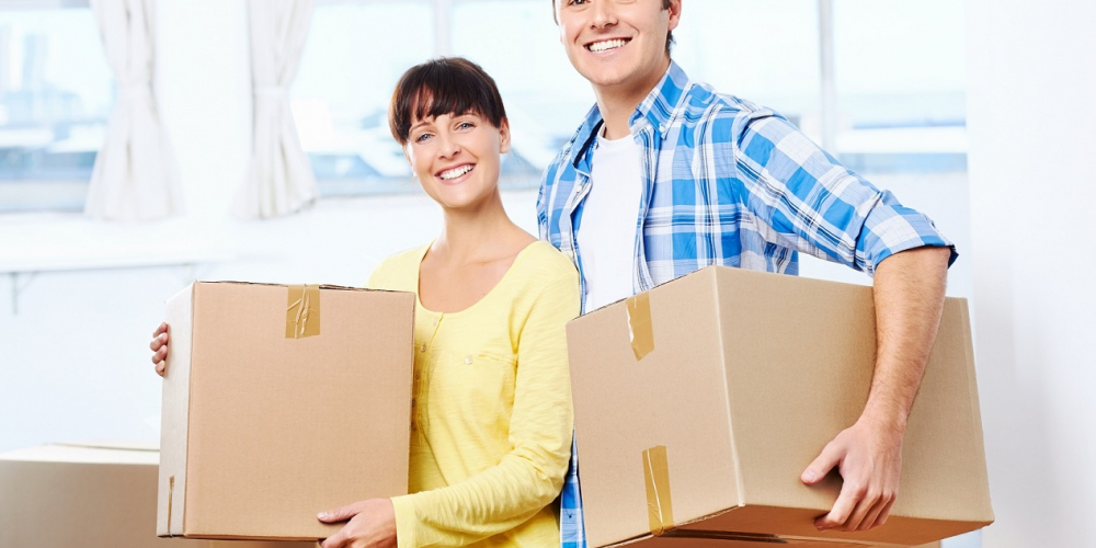 PROFESYONEL TAŞIMACILIK!